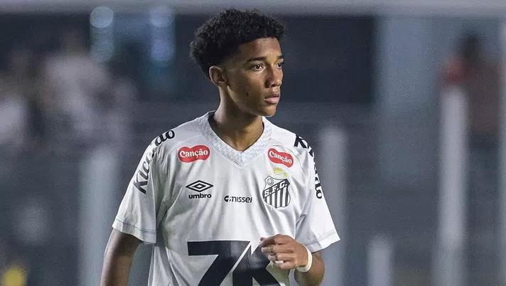 蓝黑军团将 蓝黑军团将