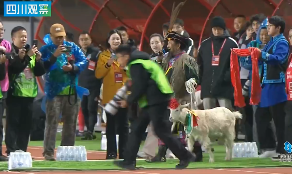 news, 阳发布, OerBp